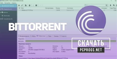 BitTorrent Pro 7.11.0.47197 Download